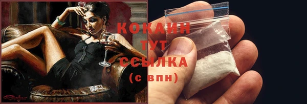 ешки Бородино