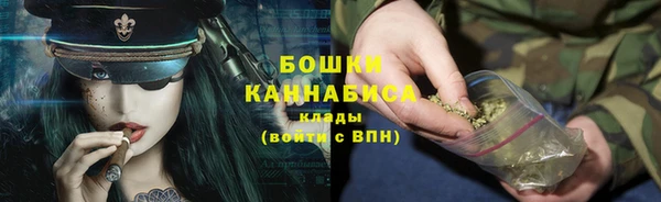 ешки Бородино