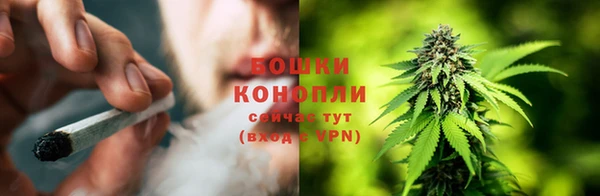 ешки Бородино