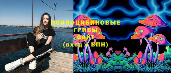 ПСИЛОЦИБИНОВЫЕ ГРИБЫ Бронницы