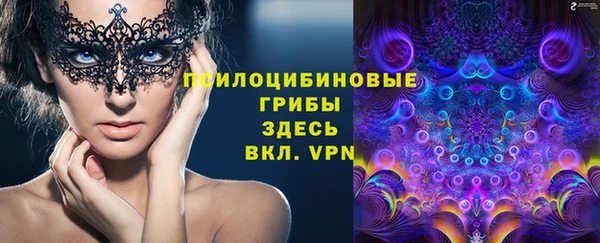 ПСИЛОЦИБИНОВЫЕ ГРИБЫ Бронницы