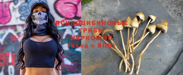 наркотики Богданович