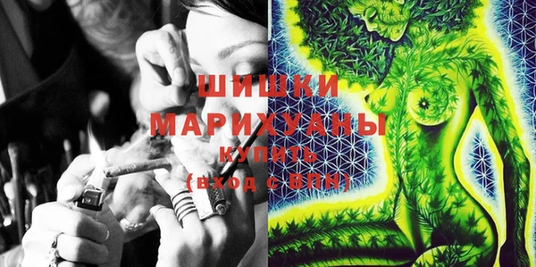 ешки Бородино